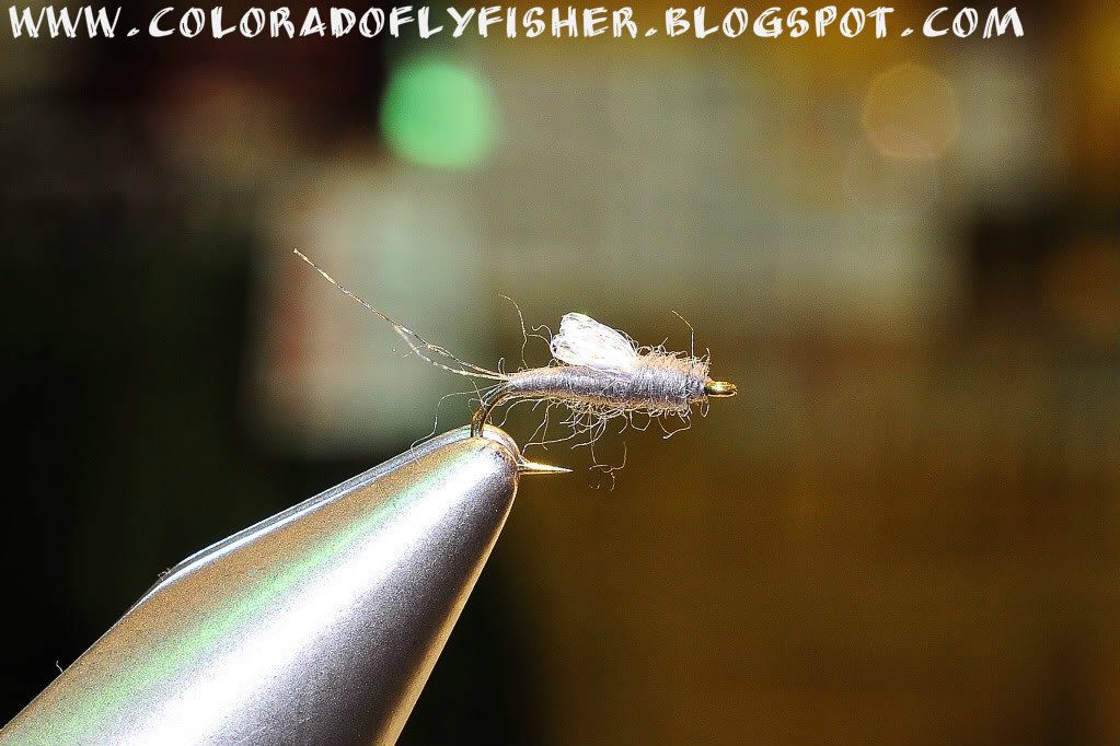 Colorado Fly Fishing Magazine Kleis's Top Ten Flies For Colorado